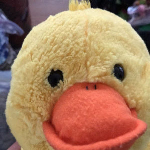 Meet your Posher, Andre